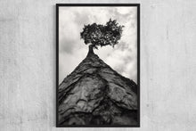 Load image into Gallery viewer, Pine