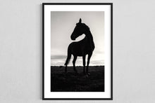 Load image into Gallery viewer, Horse walk