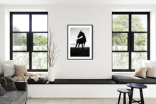 Load image into Gallery viewer, Horse walk