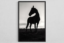 Load image into Gallery viewer, Horse walk