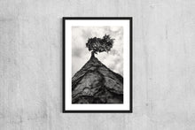 Load image into Gallery viewer, Pine