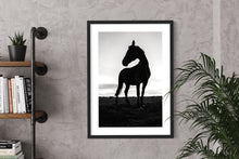 Load image into Gallery viewer, Horse walk