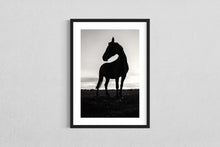 Load image into Gallery viewer, Horse walk
