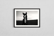 Load image into Gallery viewer, Horse field