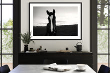 Load image into Gallery viewer, Horse field