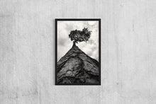 Load image into Gallery viewer, Pine