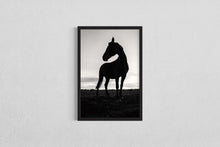 Load image into Gallery viewer, Horse walk