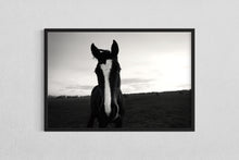 Load image into Gallery viewer, Horse field