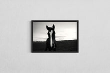 Load image into Gallery viewer, Horse field