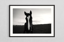 Load image into Gallery viewer, Horse field