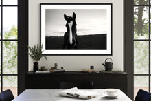 Load image into Gallery viewer, Horse field
