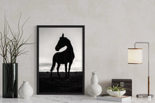 Load image into Gallery viewer, Horse walk
